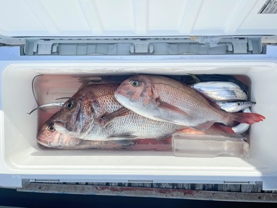 釣果報告と急募！