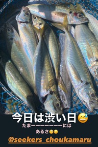 9/13   渋い！？ 2023/09/13 19:34:55
