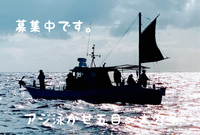 10日・11日　募集中です。 2024/04/09 05:35:27