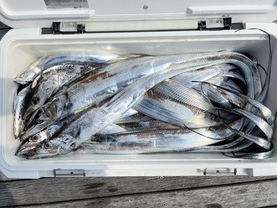 釣り堀！