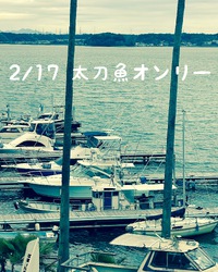 2/17  太刀魚オンリー 2024/02/17 16:55:49