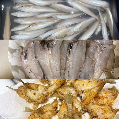 キス釣り研修