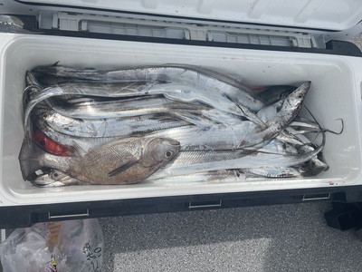 釣果報告と急募！