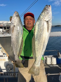 11/26   泳がせ～太刀魚 2023/11/26 18:24:23