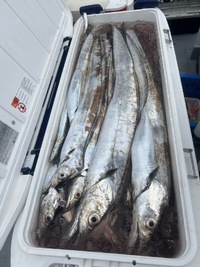 6/20   満タン！ 2024/06/20 15:24:50