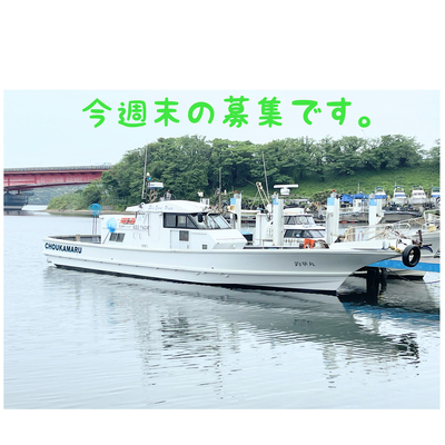 出船確定です。
