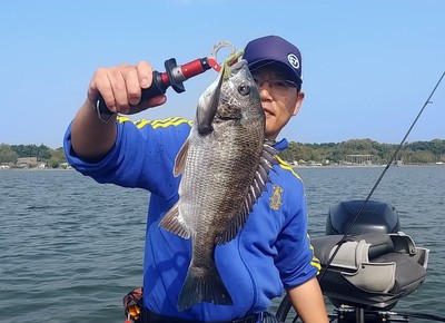 練習です。
