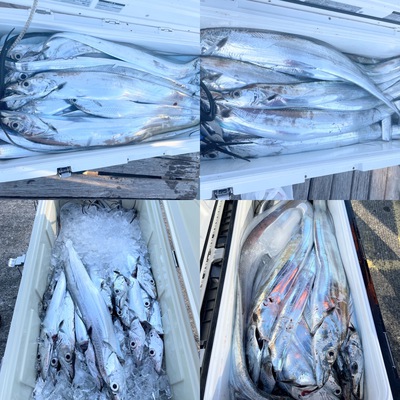 釣り堀より釣れる！