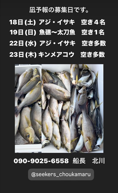 募集中です。