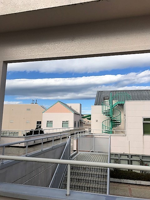 今日の雲