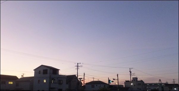 今日の朝