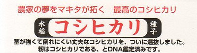 牧田稲研究所・平成２７用種籾