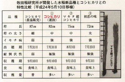 牧田稲研究所・平成２７用種籾
