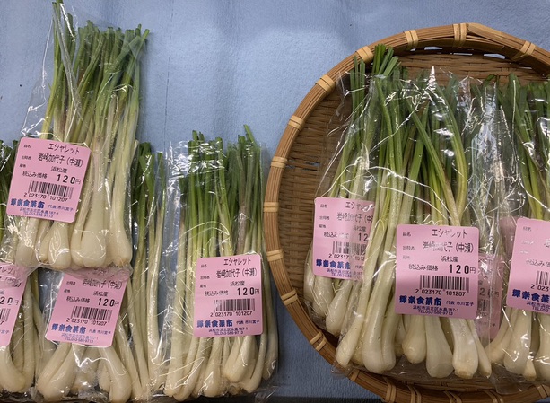 スティックやエシャレット等
