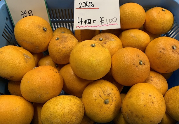 スティックやエシャレット等