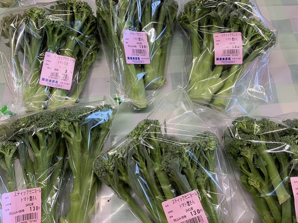 今日の地場野菜たち