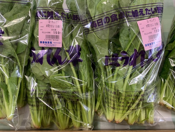 そら豆や大根など