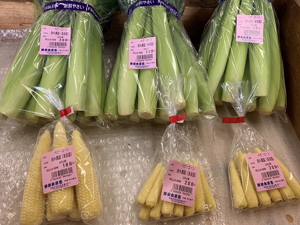 今日の地場産品
