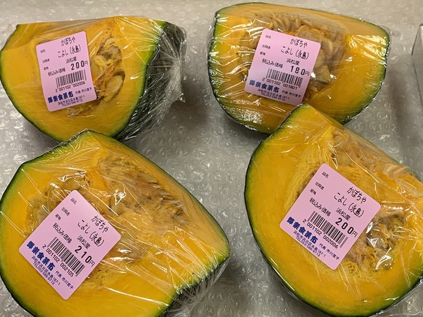 小玉西瓜とゴーヤがデビュー