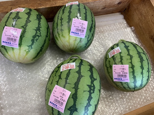 西瓜販売