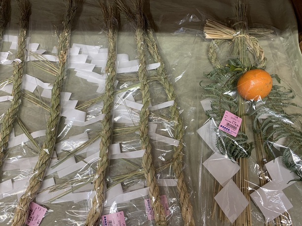 新玉ねぎと茗花登場