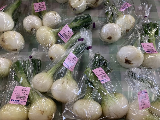 新玉ねぎと茗花登場