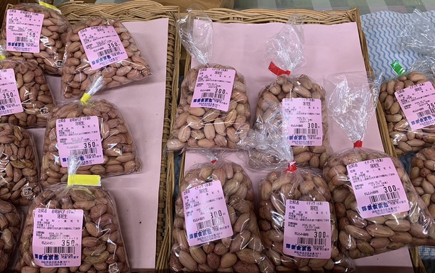 新玉ねぎと茗花登場