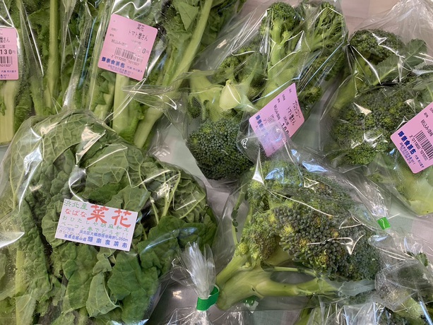 今日まで営業です
