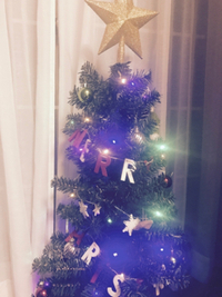 メリークリスマス♪ 2016/12/25 07:26:32