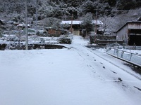 水窪の雪 2022/12/24 08:34:11