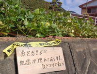 菜園 2023/09/27 16:02:44