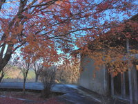 元カモシカと森の体験館 2022/11/09 23:15:00