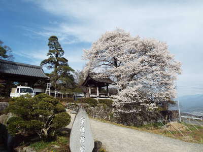 瑠璃寺