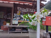 みさくほ路の里 2023/07/13 10:36:33