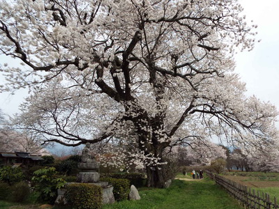 松源寺
