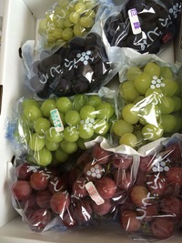 林先生の実家から♪ 2014/10/04 16:54:39