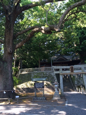 林、豊田の静岡散策！