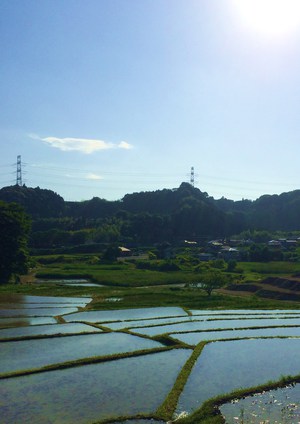 林、豊田の静岡散策！