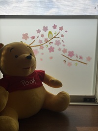 ４月になりました 2016/04/12 13:58:49