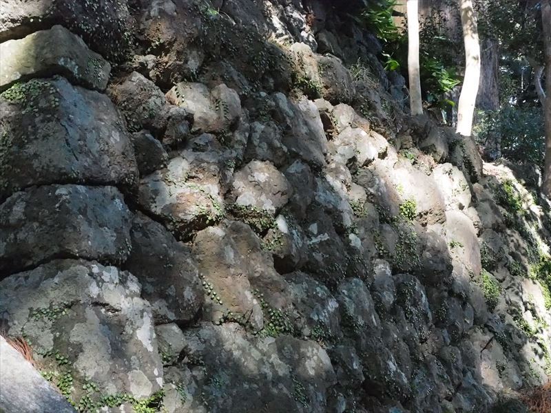 千葉山智満寺の茅葺屋根はすごく見事で景色もいい！－島田市