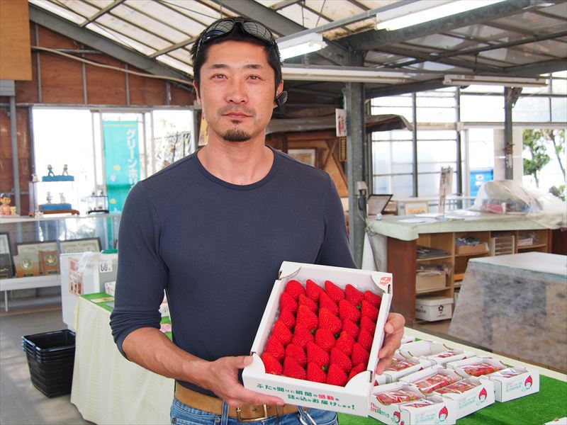 いちご摘み 赤ずきんちゃんのおもしろ農園 さんのいちご摘み 狩り を体験しよっ 掛川の150号線沿い はまぞう かね田のおもむろにブログ