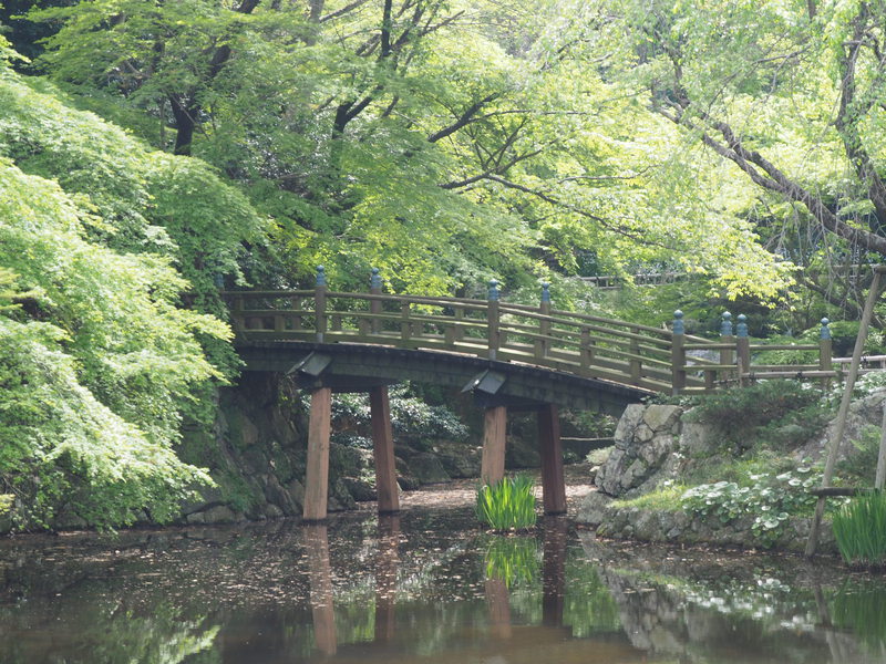 スタバが浜松城公園にオープンなどが「地元浜松」にとって良いことなのか考えよー