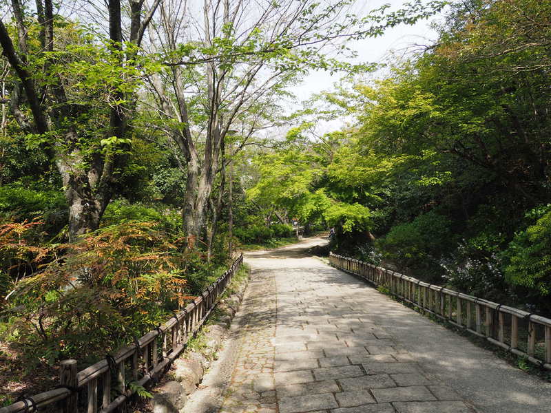 スタバが浜松城公園にオープンなどが「地元浜松」にとって良いことなのか考えよー