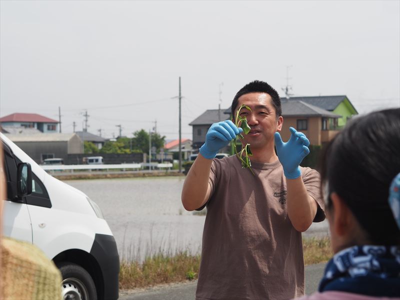 うなぎいもの苗付けイベントは、子供よりも大人が楽しんでいた？ゆるく楽しく充実の農業体験