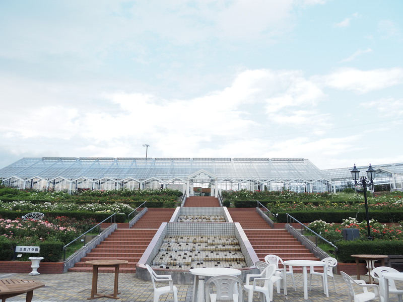 島田市のバラ園「ばらの丘公園」は7月から9月まで入園無料で週末はビアガーデンも！