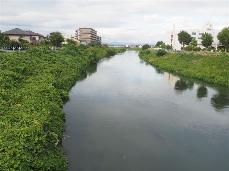 週末は川沿いを家族で散歩するのが楽しい