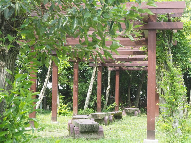 秋の雰囲気漂う竜洋昆虫公園を散策する