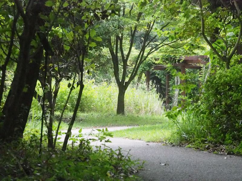 秋の雰囲気漂う竜洋昆虫公園を散策する