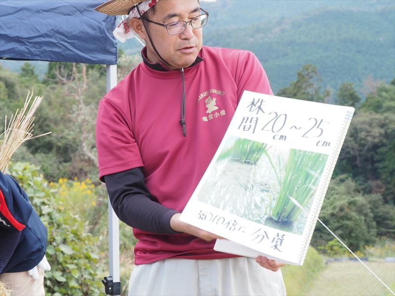 久留女木の棚田で貴重な稲刈り体験レポート！