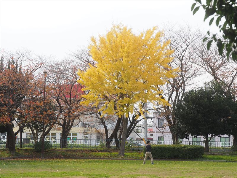 ブログに書くこと（内容）はそれぞれですが、”何でも良い”わけでもない